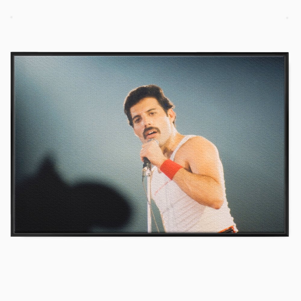 Tablou canvas cu tablou canvas cu freddie mercury, in rama de aluminiu negru